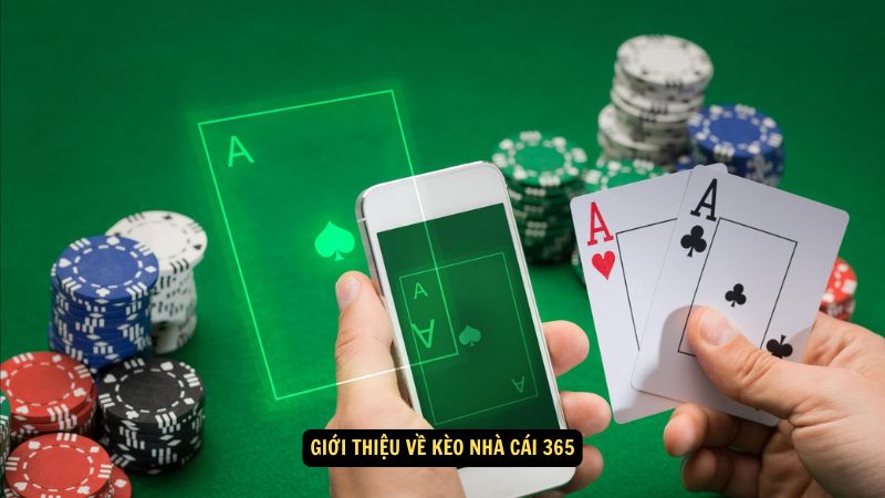 Giới thiệu về kèo nhà cái 365