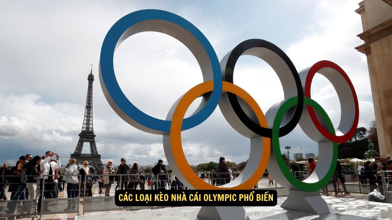 Các loại kèo nhà cái Olympic phổ biến